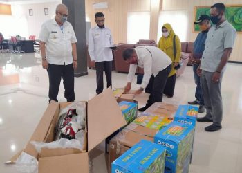 Bupati Bursel Serahkan APD Covid-19 Ke Seluruh Desa Secara Simbolis