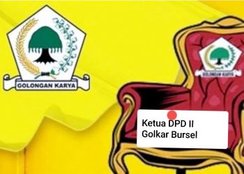 Tiga Kader  Berebut Kursi Ketua DPD Golkar Bursel