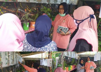 Safitri Dorong Pengurus PKK dan Masyarakat Galakkan Kembali Tanaman Obat Keluarga