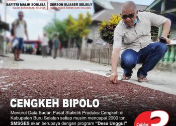 Selsily : Cengkih Tuni Buru Selatan Merupakan Varietas Unggul Nasional