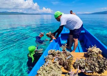 KANAL Maluku Temukan Kekayaan Terumbu Karang Pantai Kulur