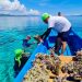 KANAL Maluku Temukan Kekayaan Terumbu Karang Pantai Kulur