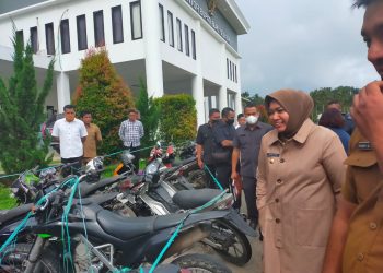 Penataan Aset, Bupati Safitri Gelar Apel Kendaraan