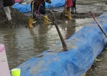 LIRA Minta Polda Maluku Tutup Paksa Aktivitas Rendaman PT SSS di GB