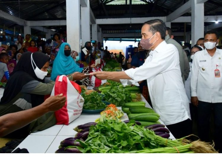 Hari Kedua di Provinsi Maluku, Presiden Akan Bagikan Bansos hingga Bertemu Peternak Kerbau