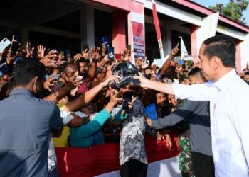 Hari Kedua di Maluku, Jokowi Akan Bagikan Bansos hingga Bertemu Peternak Kerbau