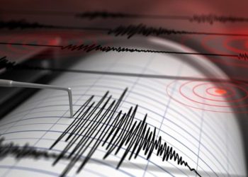 Gempa Bumi Terkini M 3,8 Guncang Buru Selatan Maluku, Berpusat di Laut