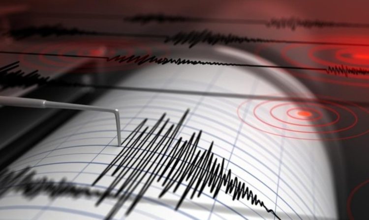 Gempa Bumi Terkini M 3,8 Guncang Buru Selatan Maluku, Berpusat di Laut