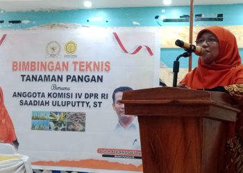 Komisi IV DPR RI, Saadia Uluputty Dan  Kementan RI Gelar Bimtek Tanaman Pangan di Kabupaten Buru