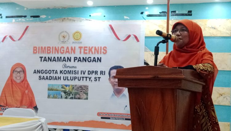 Komisi IV DPR RI, Saadia Uluputty Dan  Kementan RI Gelar Bimtek Tanaman Pangan di Kabupaten Buru