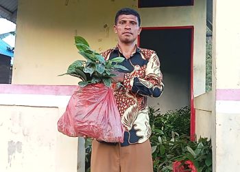 4000 Anakan Pala dan Cengkeh Disalurkan ke Warga Lemanpoli