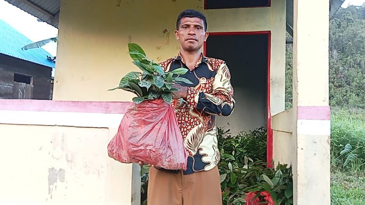 4000 Anakan Pala dan Cengkeh Disalurkan ke Warga Lemanpoli