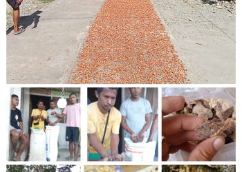 Potensi Alam Di Kabupaten Buru Menjanjikan Untuk Dilirik Investor