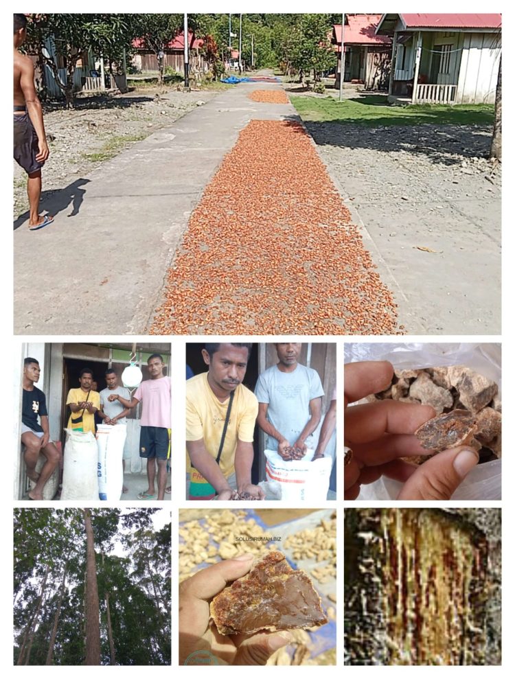 Potensi Alam Di Kabupaten Buru Menjanjikan Untuk Dilirik Investor