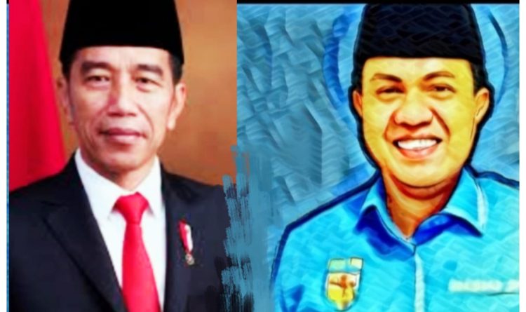 Waketum KNPI Saiful Chaniago: Toleran Internasional, Presiden Jokowi Layak Sebagai Sekjend PBB