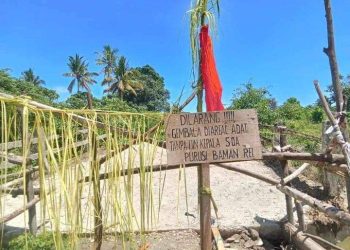 Jelang Pemilihan, Transmigran di Desa Waelo Asal Pulau Jawa Diteror, Kapolres: Bila Terbukti Bersalah Akan Diproses Hukum