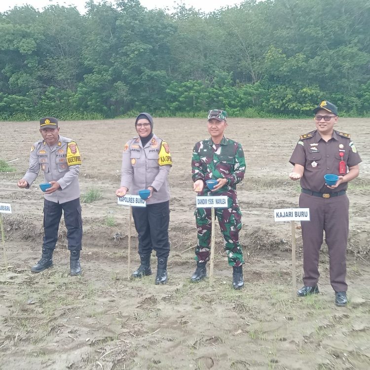 Kapolres Buru Sulastri Bersama Dandim 1506/Namlea Muhamad Tamami Ikut Kegiatan Penanaman Jagung