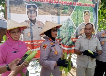 Polres Buru Kembali Panen Jagung, Kapolres: Sudah 10 Hektar  dari Target 100 Hektar di Tahun 2025