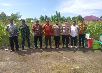 Bupati Buru dan Kapolres Ikut Zoom Meeting Panen Raya Jagung Kuartal II yang Dipimpin Presiden Prabowo Subianto