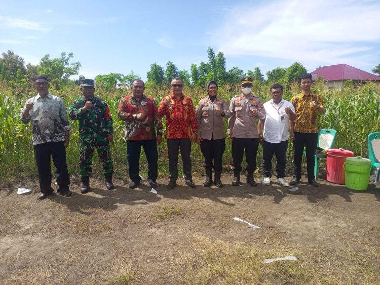 Bupati Buru dan Kapolres Ikut Zoom Meeting Panen Raya Jagung Kuartal II yang Dipimpin Presiden Prabowo Subianto