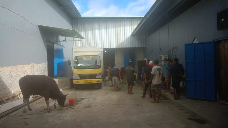 Pembagian Daging Qurban CV Abadi Tiga Mandiri (Ayudes) Berikan Manfaat Untuk Warga