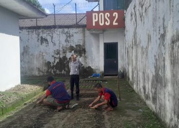 Pembinaan Produktif: Penanaman Bibit Kangkung dan Kegiatan Meubelair Berjalan Serempak Oleh Rutan Kelas IIA Ambon