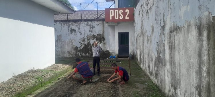 Pembinaan Produktif: Penanaman Bibit Kangkung dan Kegiatan Meubelair Berjalan Serempak Oleh Rutan Kelas IIA Ambon