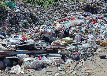 Bau Tak Sedap, Warga Namrole Meminta Dinas LH Segera Membersihkan Sampah Yang Telang Menggunung Di Ruas Jalan Masuk TPA