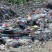 Bau Tak Sedap, Warga Namrole Meminta Dinas LH Segera Membersihkan Sampah Yang Telang Menggunung Di Ruas Jalan Masuk TPA