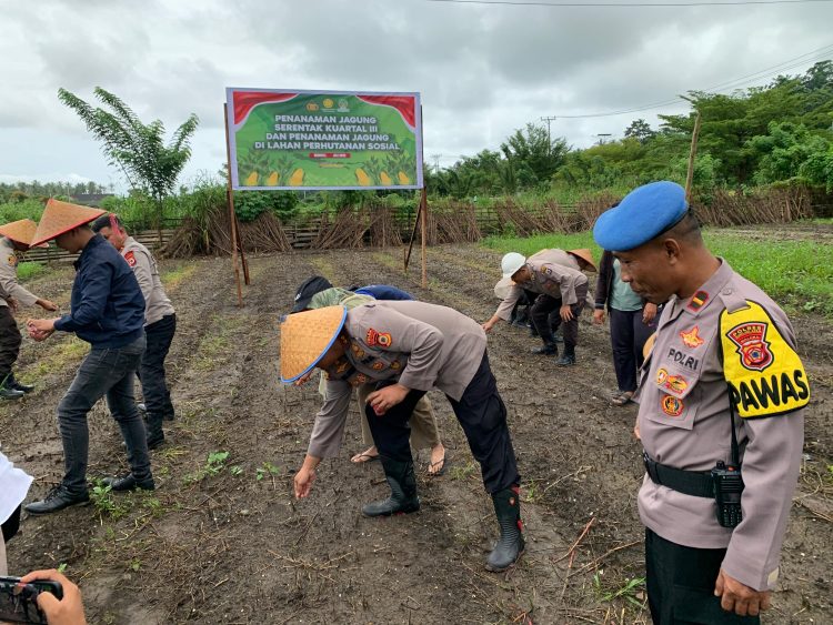 Polres Buru Selatan Laksanakan Penanaman Jagung, Kuartal III