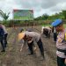 Polres Buru Selatan Laksanakan Penanaman Jagung, Kuartal III