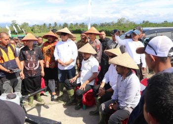 Dari Sawah ke Istana: Gerakan Organik sebagai Pilar Awal Seratus Hari Pemerintahan Umasugi–Sudarmo