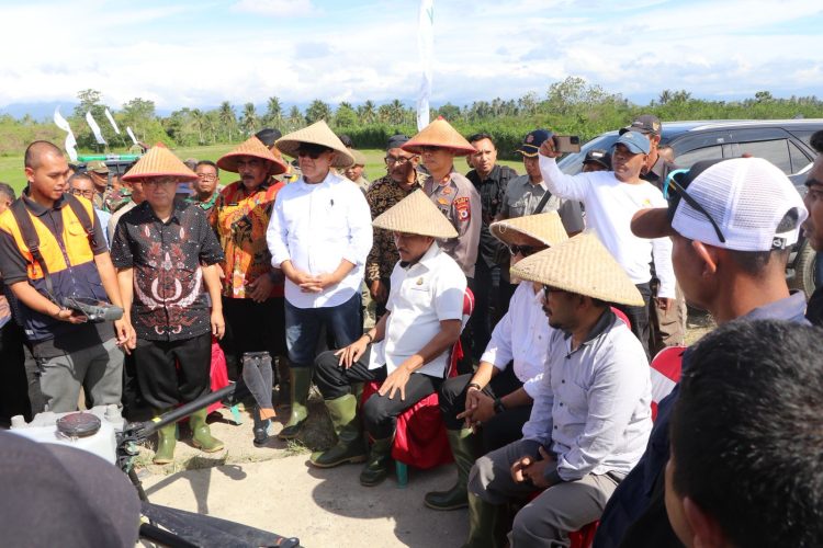 Dari Sawah ke Istana: Gerakan Organik sebagai Pilar Awal Seratus Hari Pemerintahan Umasugi–Sudarmo
