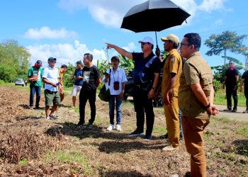Singgah Tak Direncanakan, Gubernur Maluku Temukan Harapan Kakao di Desa Namto