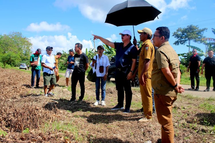 Singgah Tak Direncanakan, Gubernur Maluku Temukan Harapan Kakao di Desa Namto