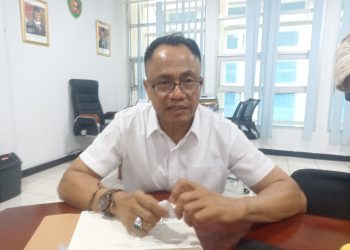 Pemprov Maluku Ungkap Ketidaksesuaian Dokumen Angkut Kayu Bernilai Tinggi