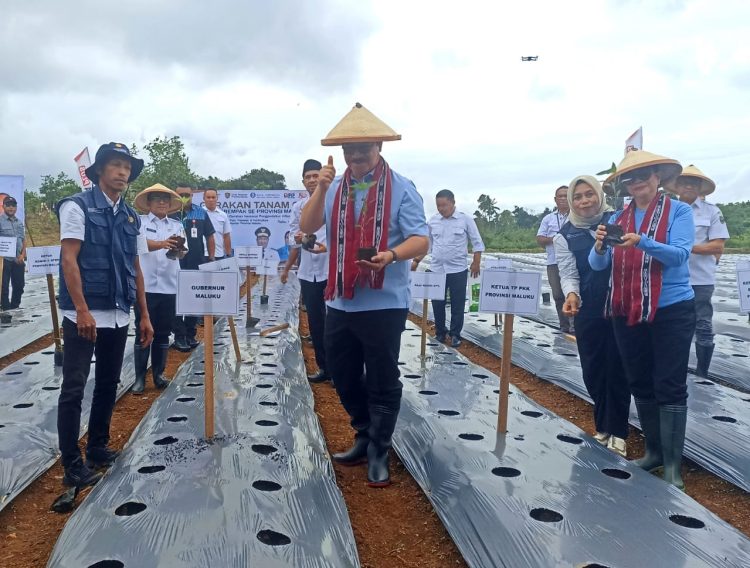 Gubernur Pimpin Gerakan Tanam 100 Ribu Anakan Cabai Serempak Untuk Maluku Tahan Pangan & Tekan Inflasi