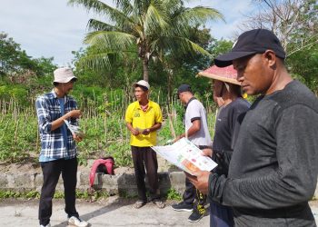 Workshop Budidaya Pertanian dari YBTS, Poktan Lapas Namlea Fokus Perawatan Proses Fase Lanjutan