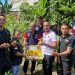 Bersama Warga Binaan, Lapas Wahai Panen Tomat Perdana di Kebun Rumah Dinas