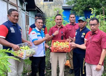 Panen Tomat Dukung Ketahanan Pangan, Lapas Wahai Diapresiasi KUA