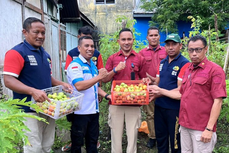 Panen Tomat Dukung Ketahanan Pangan, Lapas Wahai Diapresiasi KUA