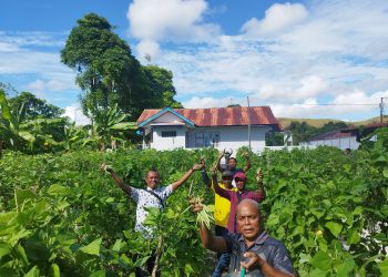Cinta Produk Warga Binaan, 50 Kg Buncis Habis Dibeli Pegawai Lapas Namlea