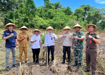 Dukung Ketahanan Pangan Nasional, Lapas Wahai Sukseskan Penanaman Kelapa Serentak