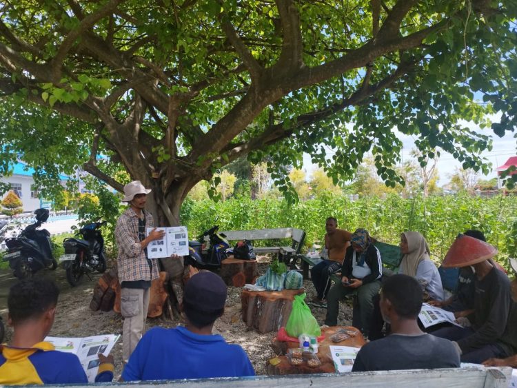 Yayasan Bina Tani Sejahtera Improve Skil Bertani Kolaborasi dengan Lapas Namlea