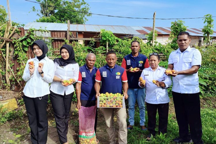 Dari Tangan Warga Binaan Lapas Wahai, Tomat Segar Penuhi Kebutuhan Pangan Masyarakat