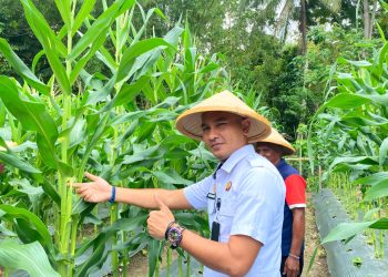 Semangat Hari Tani, Momentum Lapas Wahai Dukung Ketahanan Pangan Nasional