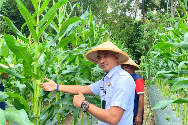 Semangat Hari Tani, Momentum Lapas Wahai Dukung Ketahanan Pangan Nasional