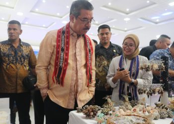 Gubernur Maluku, Hendrik Lewerissa Apresiasi Pengembangan Usaha Akbar PNM