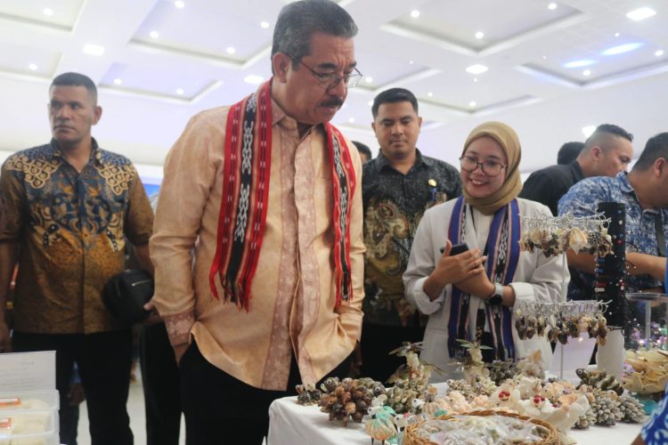 Gubernur Maluku, Hendrik Lewerissa Apresiasi Pengembangan Usaha Akbar PNM
