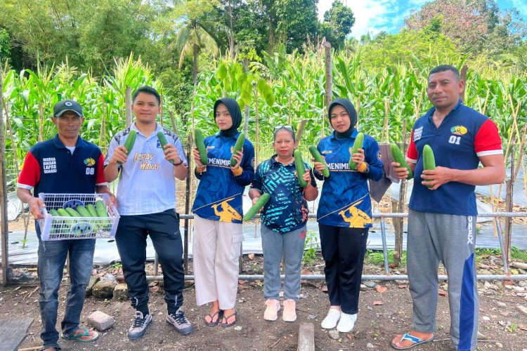 Dari Hasil Pinjam Pakai Lahan, Warga Binaan Lapas Wahai Panen Mentimun